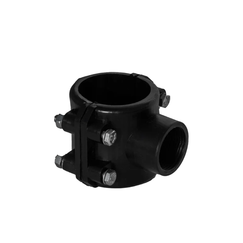 این یک تصویر جایگزین است